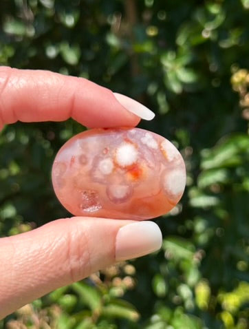 Carnelian Flower Agate Palm Stone - 06C
