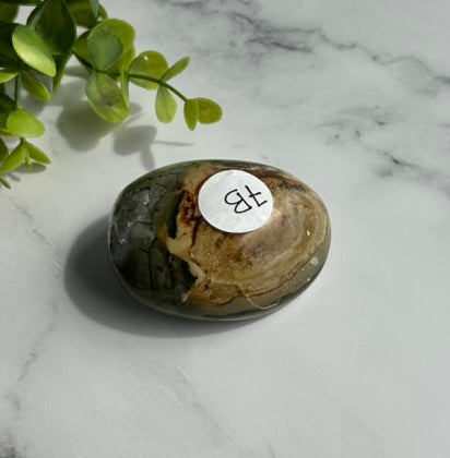 Ocean Jasper Palm Stone - 7B