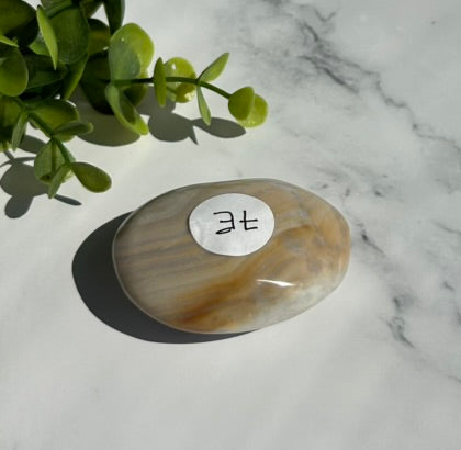 Ocean Jasper Palm Stone - 7E