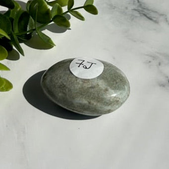 Ocean Jasper Palm Stone - 7J