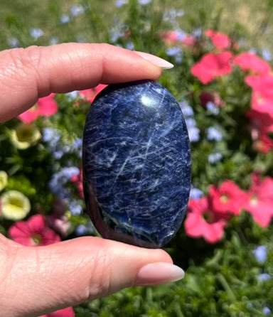 Sodalite Palm Stone - 16D