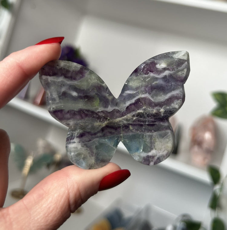 3D Butterfly's