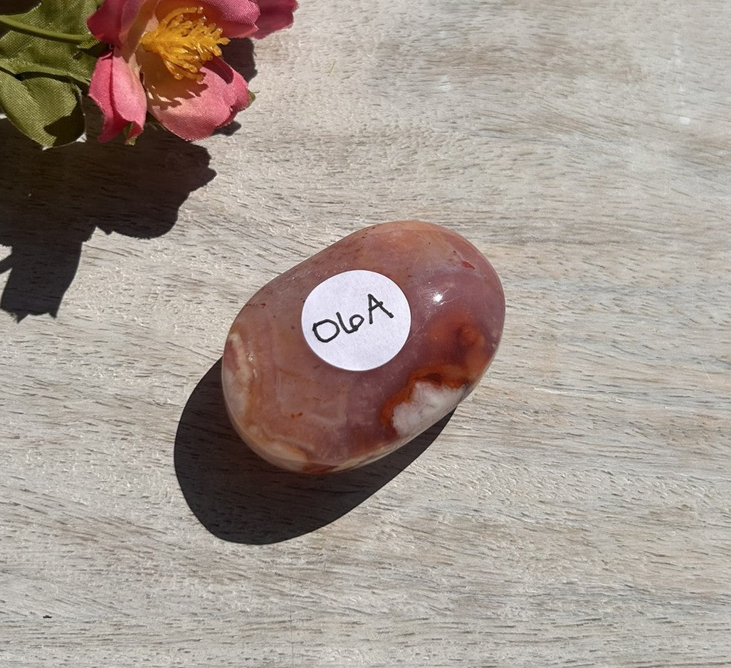 Carnelian Flower Agate Palm Stone - 06A