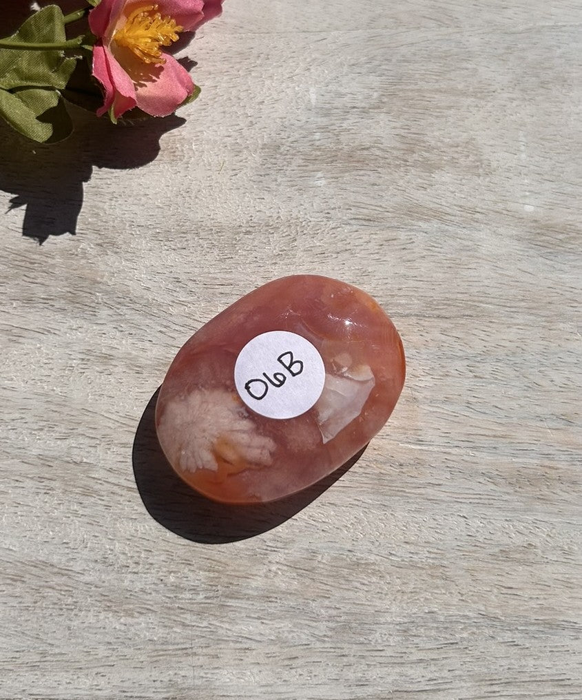 Carnelian Flower Agate Palm Stone - 06B