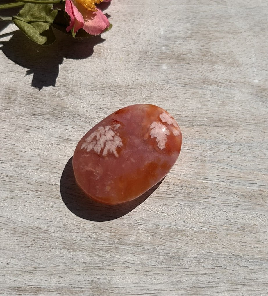 Carnelian Flower Agate Palm Stone - 06B