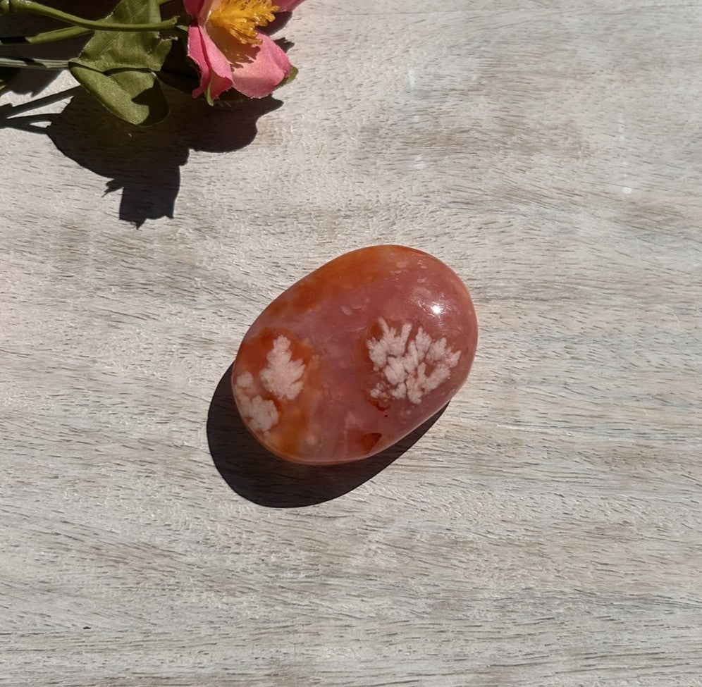 Carnelian Flower Agate Palm Stone - 06B