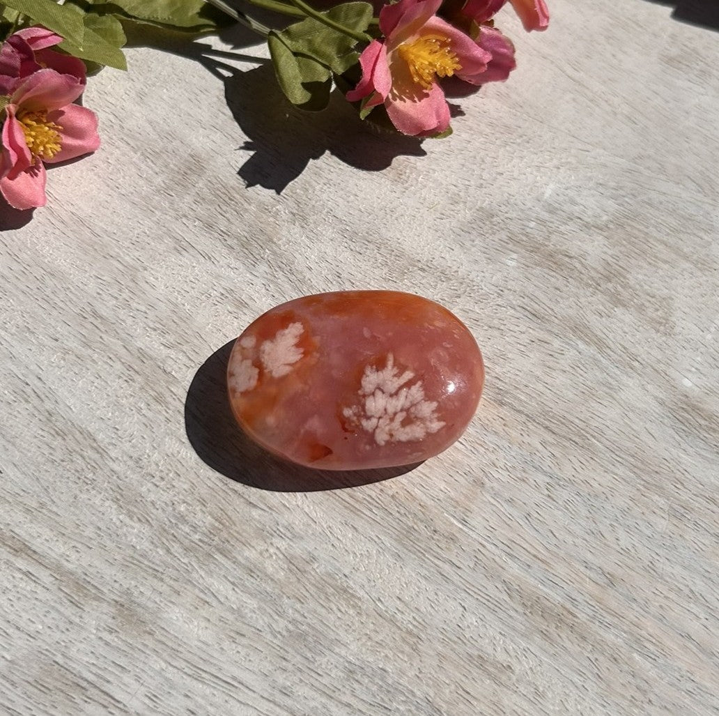 Carnelian Flower Agate Palm Stone - 06B