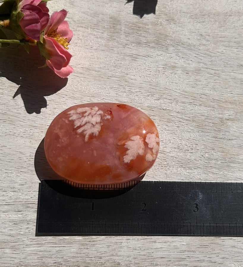 Carnelian Flower Agate Palm Stone - 06B