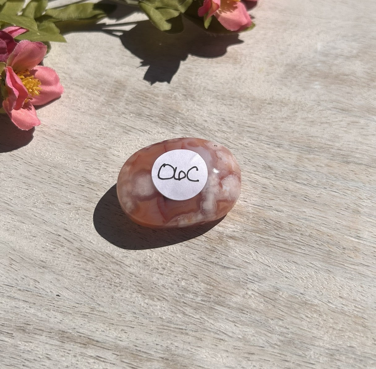 Carnelian Flower Agate Palm Stone - 06C