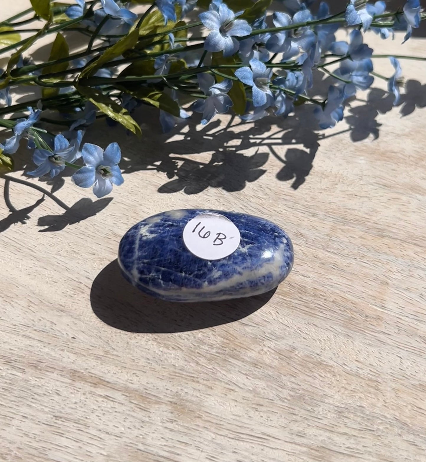 Sodalite Palm Stone - 16B