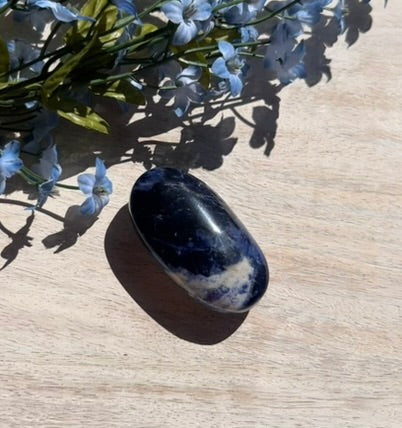 Sodalite Palm Stone - 16E