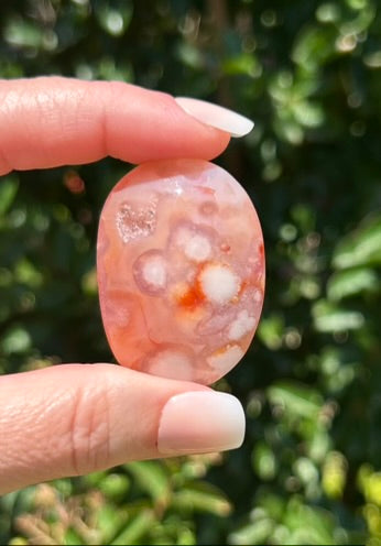 Carnelian Flower Agate Palm Stone - 06C