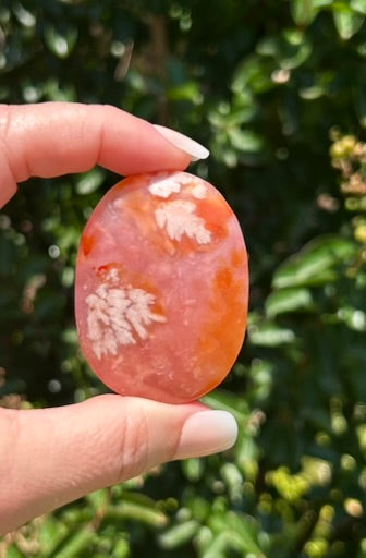 Carnelian Flower Agate Palm Stone - 06B