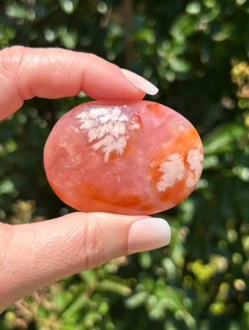 Carnelian Flower Agate Palm Stone - 06B