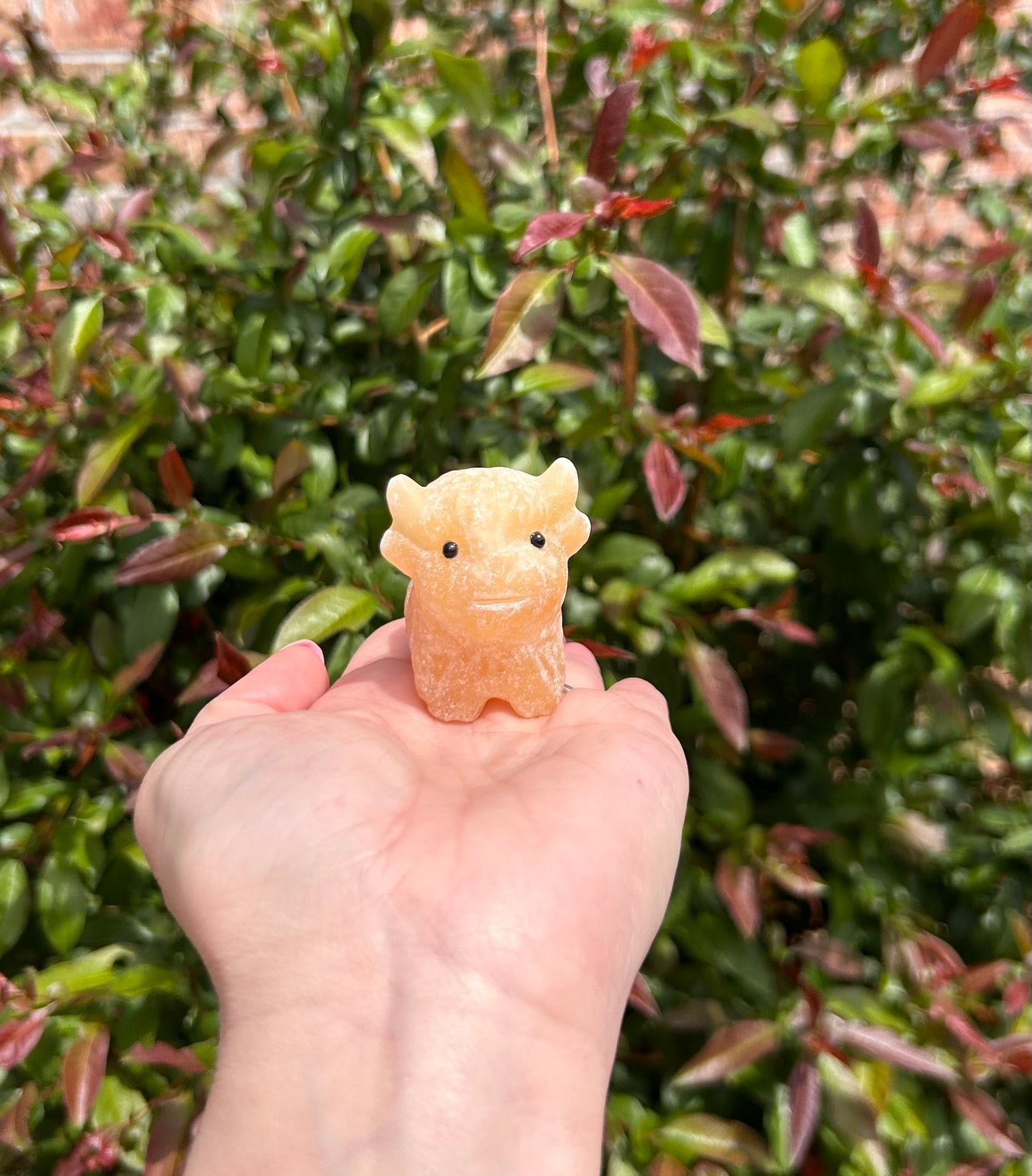 (One) 2" Orange Calcite Cow carving ~ $17.99ea
