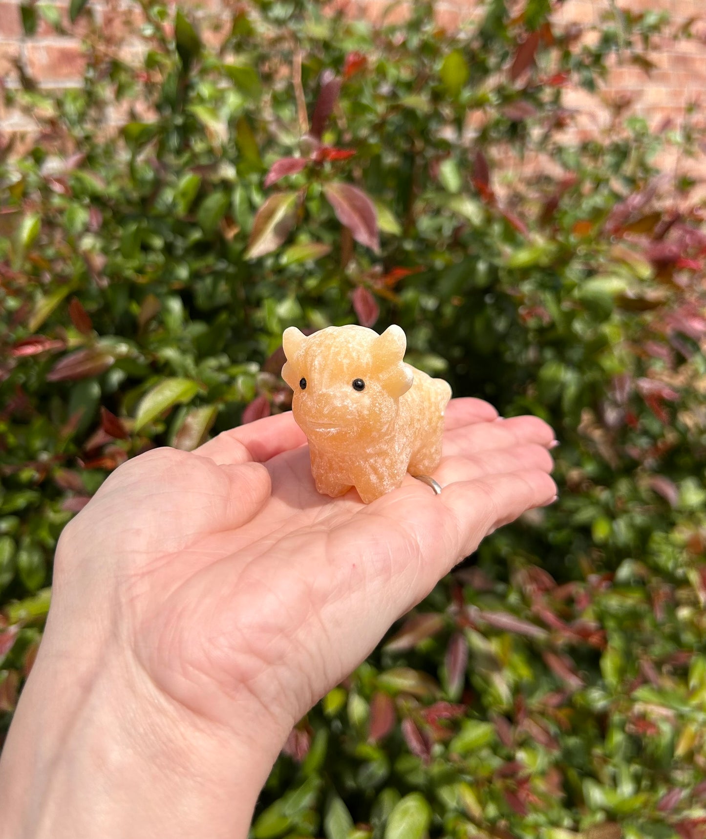 (One) 2" Orange Calcite Cow carving ~ $17.99ea