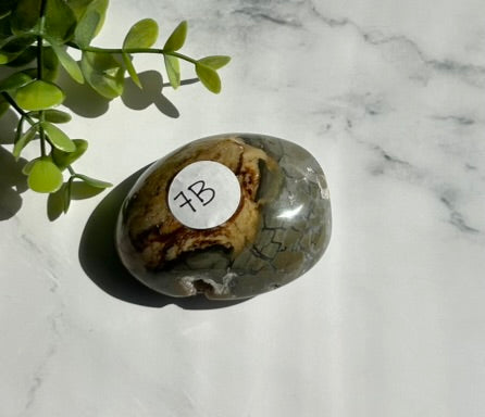 Ocean Jasper Palm Stone - 7B