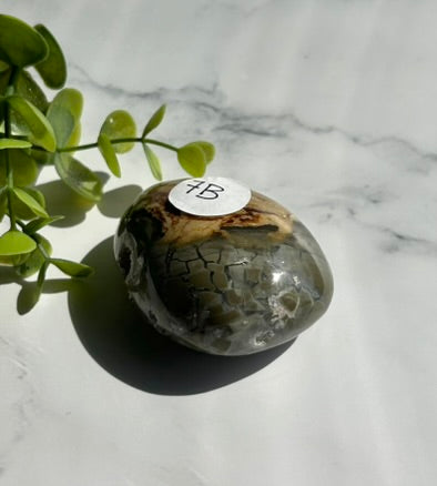 Ocean Jasper Palm Stone - 7B