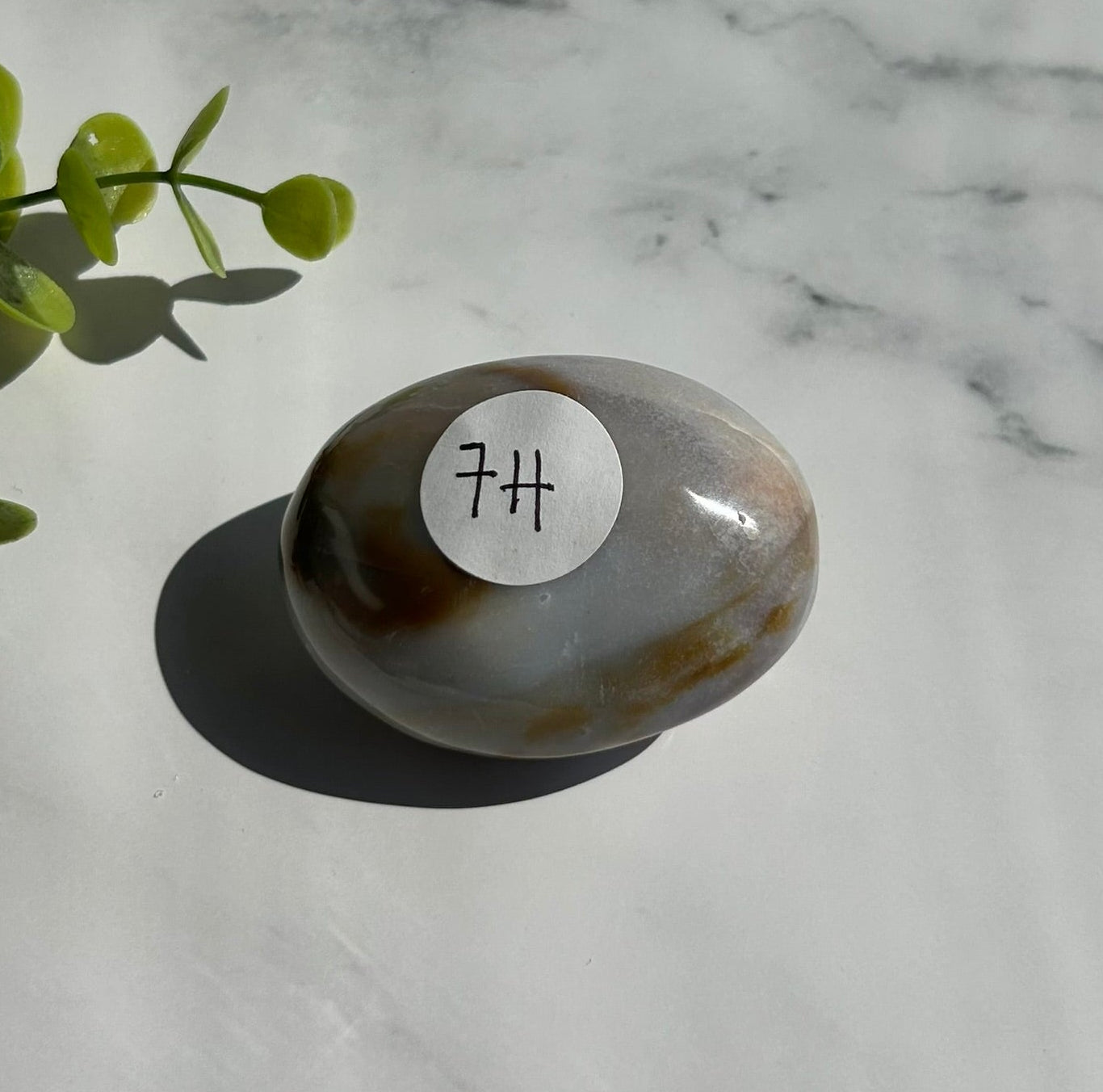 Ocean Jasper Palm Stone - 7H