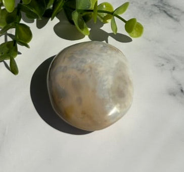 Ocean Jasper Palm Stone - 7E