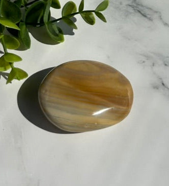 Ocean Jasper Palm Stone - 7R