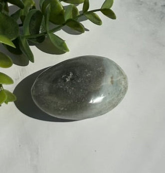 Ocean Jasper Palm Stone - 7J