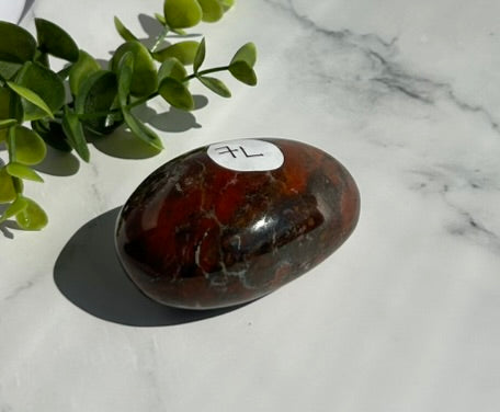 Ocean Jasper Palm Stone - 7L