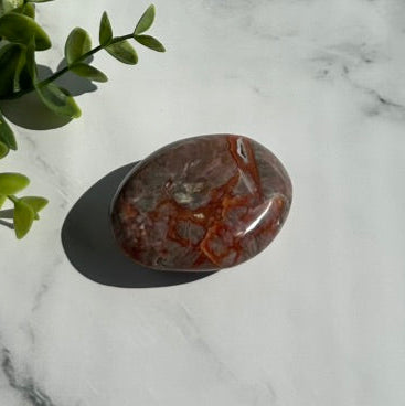 Ocean Jasper Palm Stone - 7L
