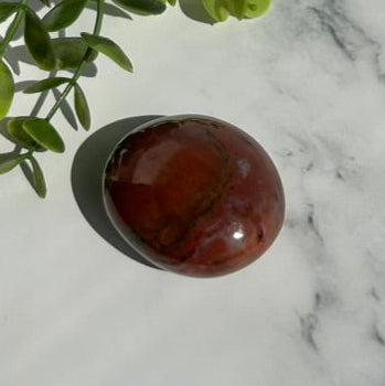 Ocean Jasper Palm Stone - 7F