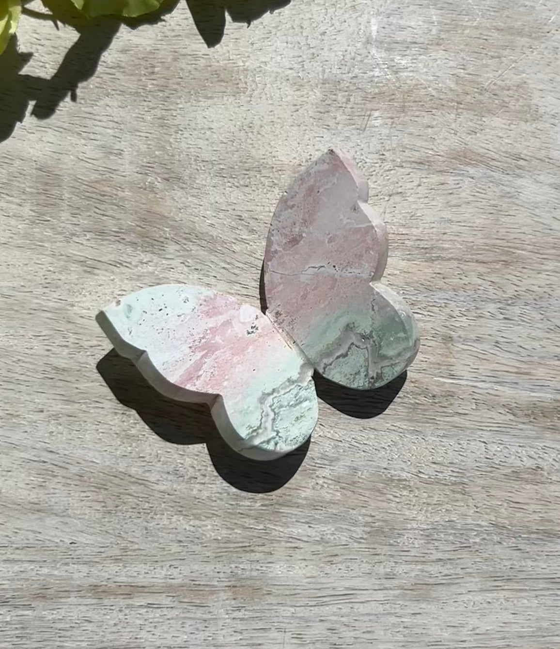 Unicorn Jasper 3D Butterfly - 6E