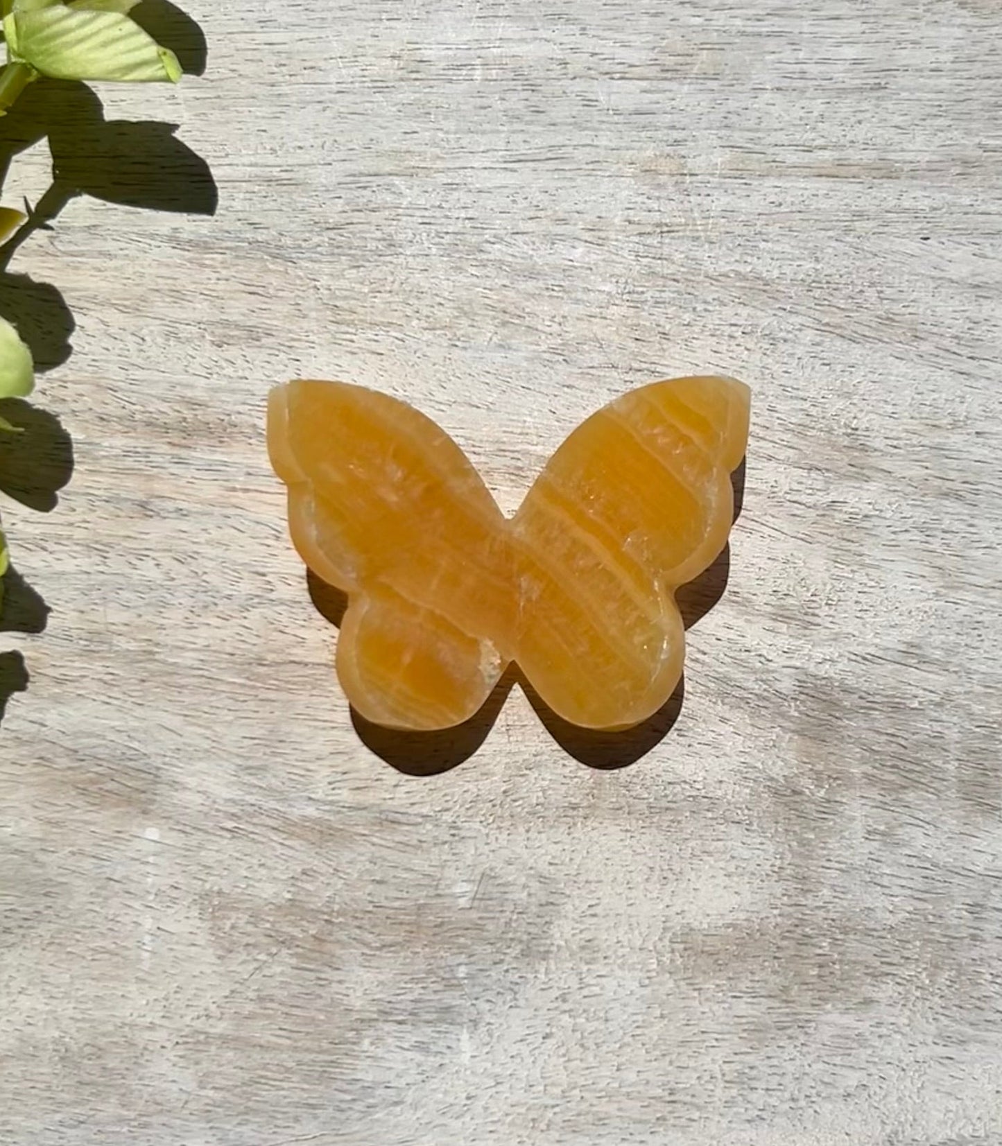 Orange Calcite 3D Butterfly - 5D