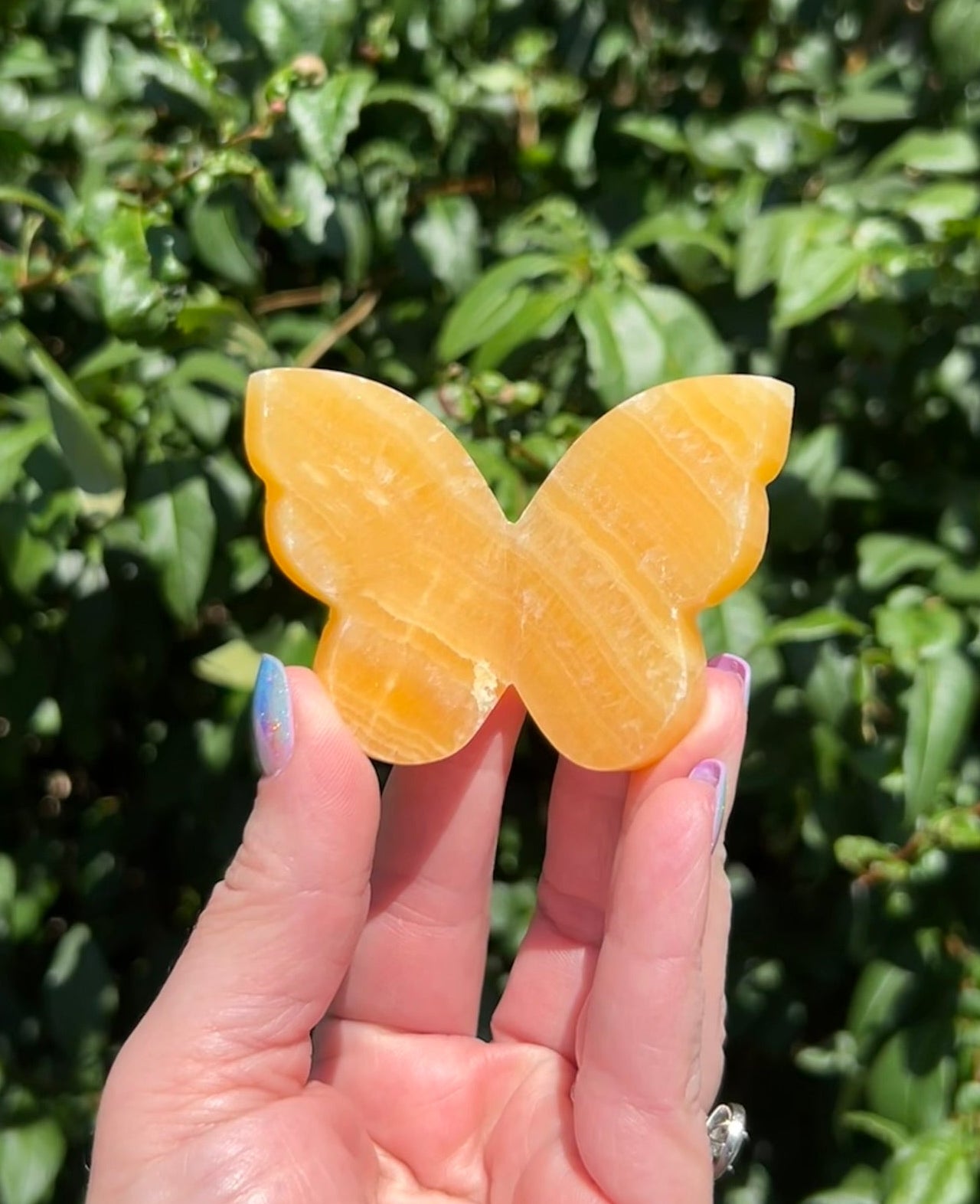 Orange Calcite 3D Butterfly - 5D