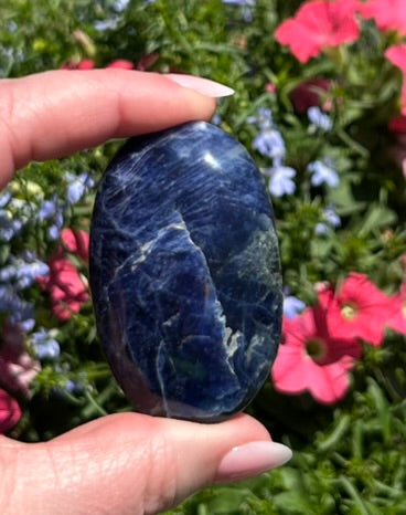 Sodalite Palm Stone - 16D