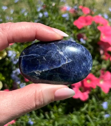Sodalite Palm Stone - 16D