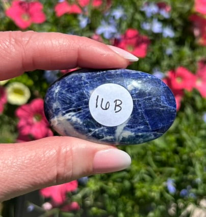 Sodalite Palm Stone - 16B