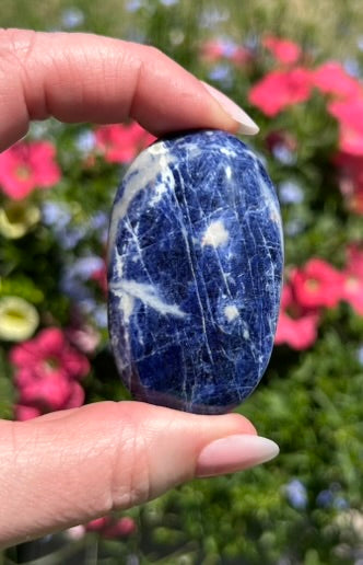 Sodalite Palm Stone - 16B