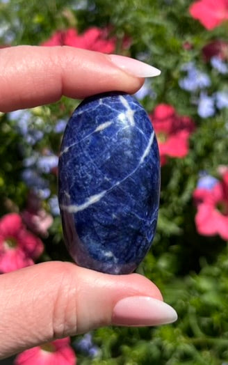 Sodalite Palm Stone - 16C