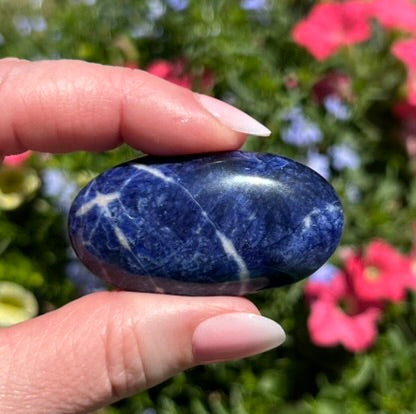 Sodalite Palm Stone - 16C
