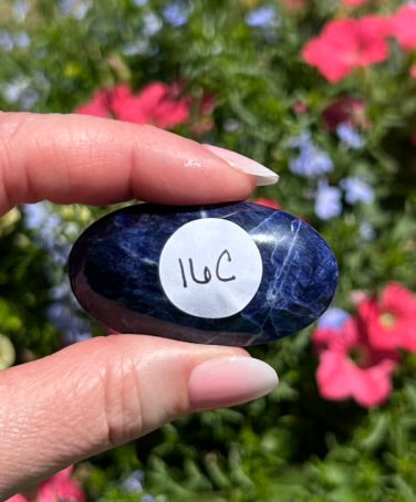 Sodalite Palm Stone - 16C