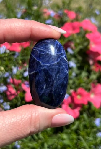 Sodalite Palm Stone - 16C